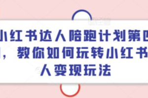 小红书达人职业骗局~（小红书博主收入真相）