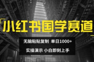 小红书做电商~（小红书电商运营攻略）