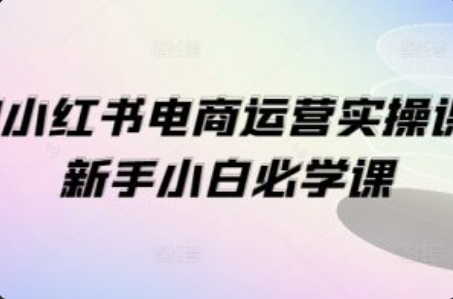 小红书电商运营模式~（小红书品牌推广策略）插图