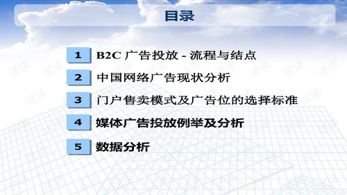 广告投放数据分析 (问题型)，广告投放统计插图1
