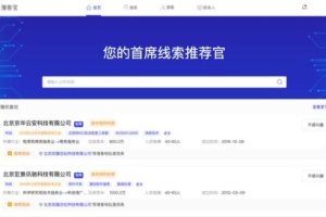 B2B内容营销策略 (垂直型)，垂直b2b的优劣势