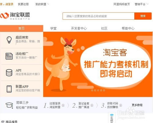 淘宝客推广技巧 (平台型),淘宝客推广操作要点插图1 淘宝客推广技巧 (平台型),淘宝客推广操作要点插图1