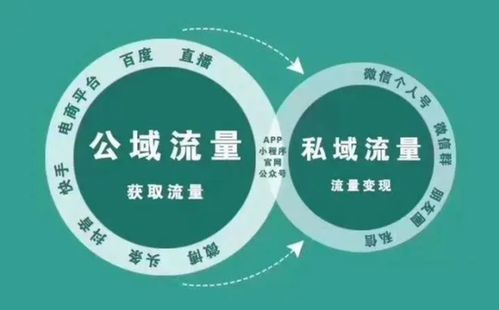 地域型)，同城号图片插图2