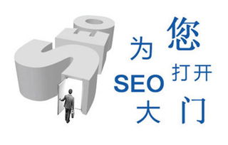 平台型)，百度seo技巧插图1