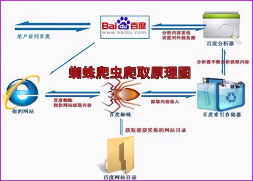 SEO外包公司哪家好 (问题型，商业意图)，seo外包服务项目插图2