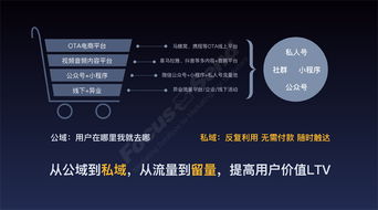 自动化营销案例 (问题型)，营销自动化解决方案插图2