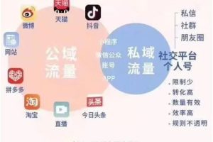 私域流量运营 (趋势型，高价值)，私域流量运营什么意思