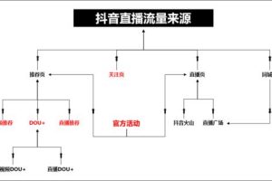 视频号运营指南 (平台型)，视频号运营攻略