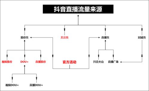 视频号运营指南 (平台型)，视频号运营攻略插图