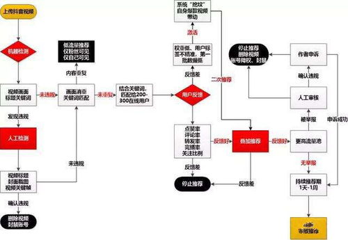 视频号运营指南 (平台型)，视频号运营攻略插图2
