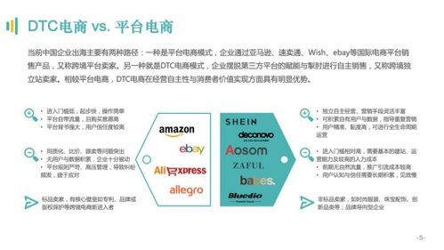 跨境电商营销 (垂直型)，跨境电商营销方式有哪些插图2