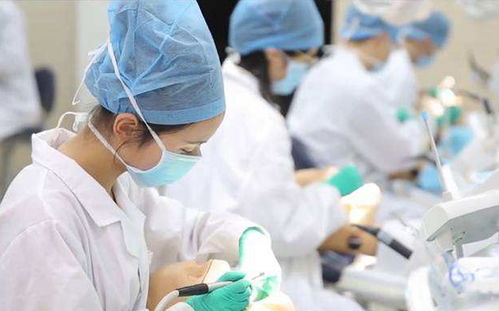 想从事商业方面的工作应该学什么专业，商业方向的专业插图2