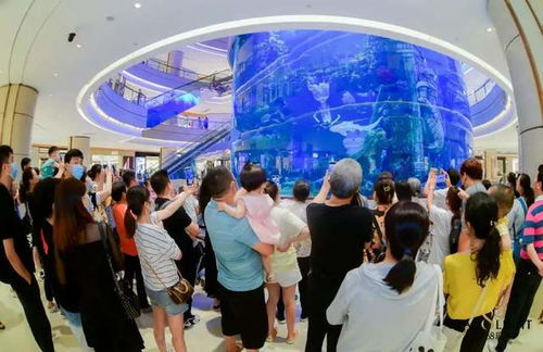 商业能干什么,商业有哪些职业插图1 商业能干什么,商业有哪些职业插图1